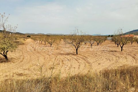 Helårsgrund i Raspay, Murcia, Raspay - € 65.000 | Ref: SF0353 - foto 8